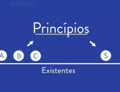 Qual a importância dos princípios na cognição e na vida humana?